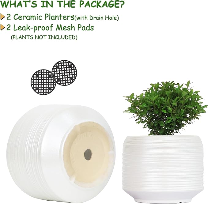 8 Inch + 6 Inch Ceramic Plant Pots Indoor with Drainage – Flower Pot Set, Decorative Indoor Planters for House Plants and Garden Use-CasaMuseHome