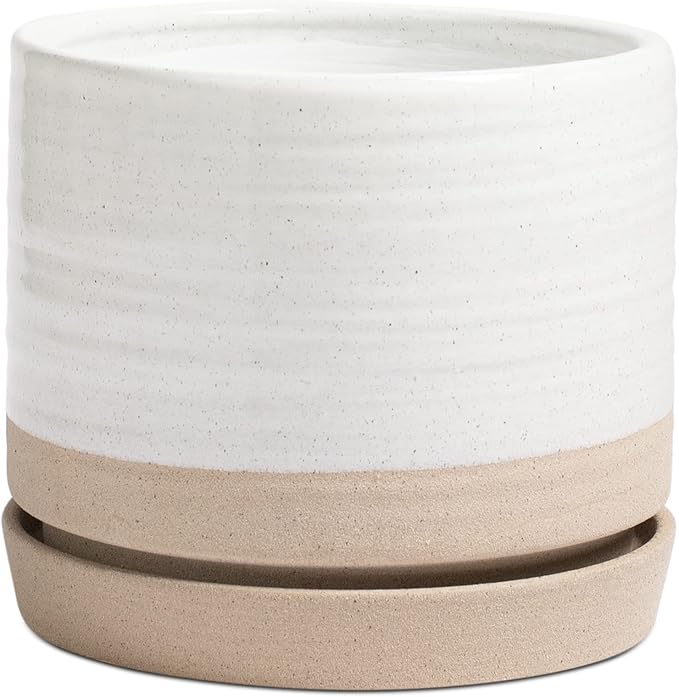 8 Inch Pots for Plants, Ceramic Planter Pot with Drainage Hole & Saucer, Indoor or Outdoor Cylinder Round Planter Pot, Matte White & Beige-CasaMuseHome