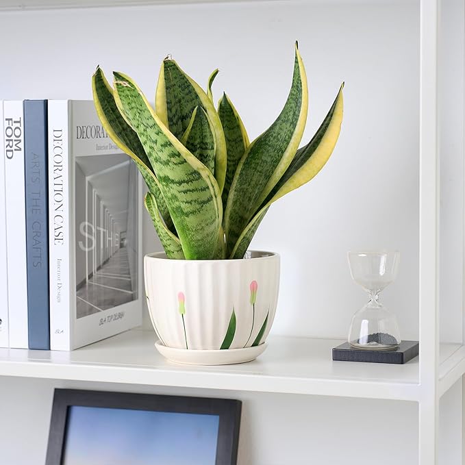 4/5/6 Inches Ceramic Plant Pots with Drainage Holes and Saucers, Round Flower Pots for Indoor Plant, Small Flower Planters Set of 3 (White Floral-Big Size)-CasaMuseHome