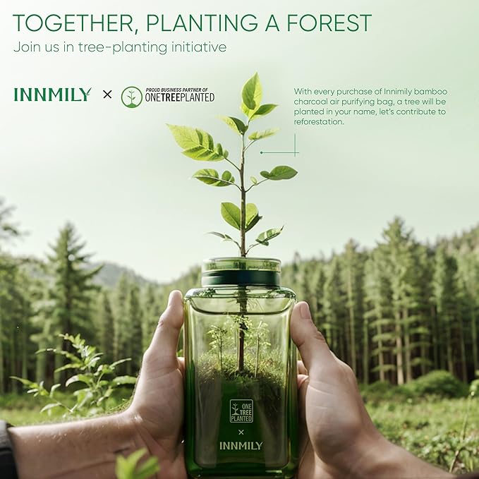 Activated Charcoal Odor Absorber, 6 Pack Natural Shoe Odor Eliminator, Bamboo Charcoal Air Purifying Bags, Sneaker Deodorizer and Moisture Absorbers for Clean Footwear, Shoe Odor Remover-CasaMuseHome