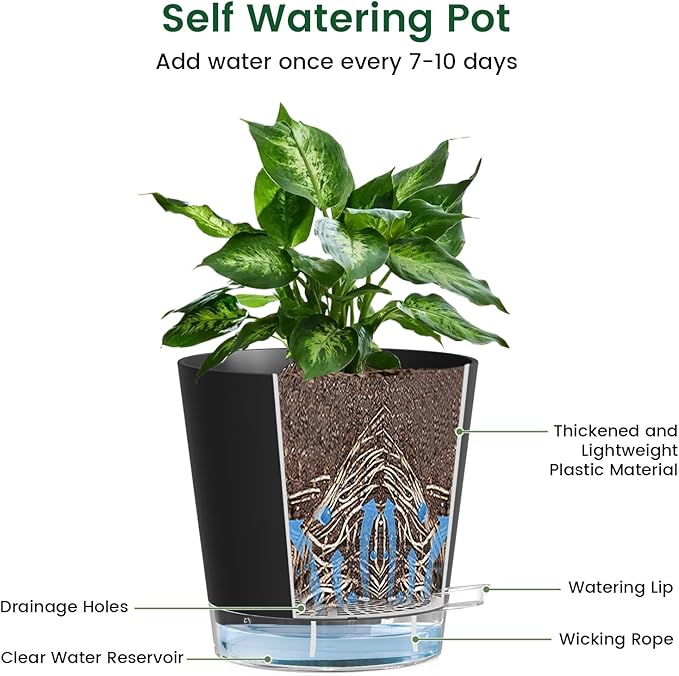 6 inch Self Watering Pots for Indoor Outdoor Plants, 3 Pack Flower Plant Pots with Drainage Holes and Clear Reservoirs, Visible Water Level, Plastic Planters with Wicking Rope, Black-CasaMuseHome