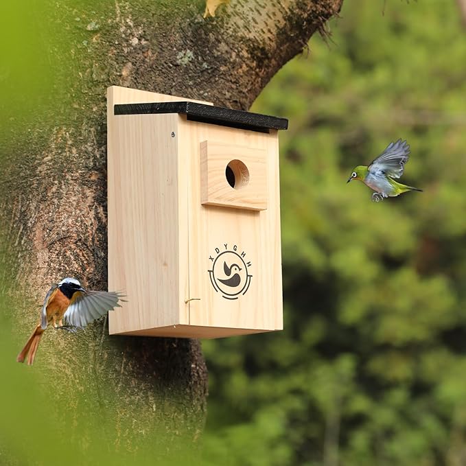 2 Pack Bird Houses for Outside,Bird House kit,Hummingbird House,Blue Bird House Outdoor Wren Swallow Finch-CasaMuseHome
