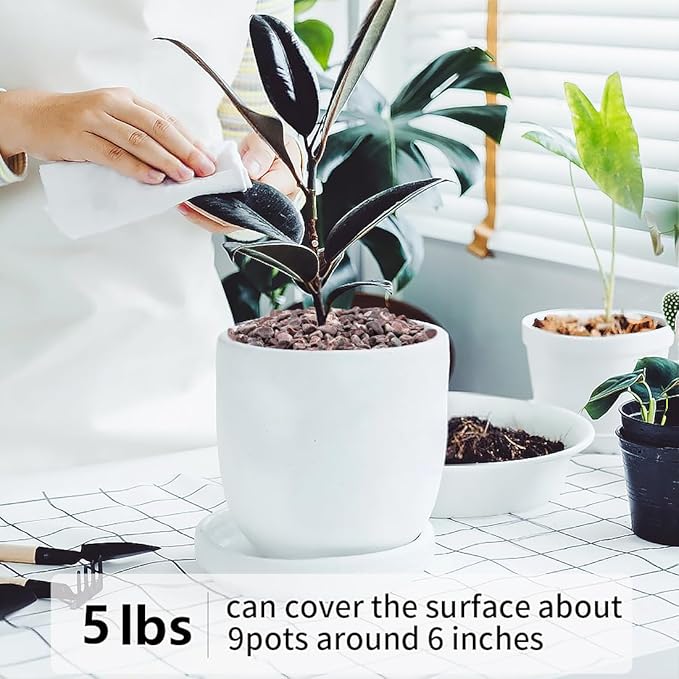 5LB Succulent and Cactus Gravel Pebbles, 1/5 Inch Natural Decorative Polished Stones, River Rocks for Vases Gardening Indoor and Outdoor Decorative Rocks, Red-CasaMuseHome