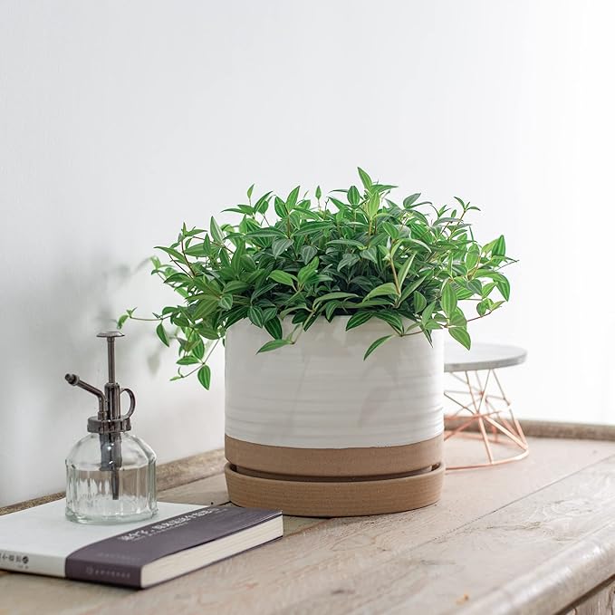 8 Inch Pots for Plants, Ceramic Planter Pot with Drainage Hole & Saucer, Indoor or Outdoor Cylinder Round Planter Pot, Matte White & Beige-CasaMuseHome