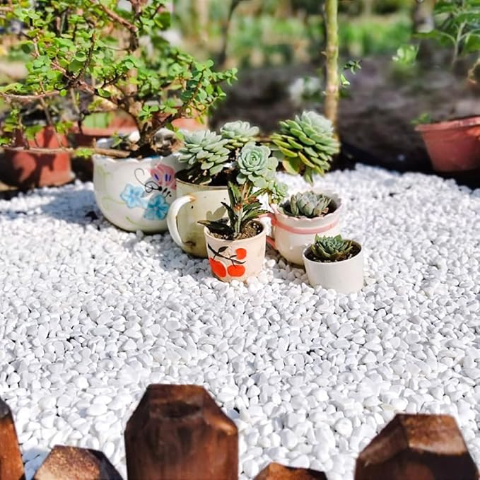 10LB Succulent and Cactus Gravel, 1/5 Inch White Natural Decorative Polished Pebbles for Landscaping, River Rocks for Plants, Vases, Aquariums, Terrarium and Outdoor Gardening-CasaMuseHome