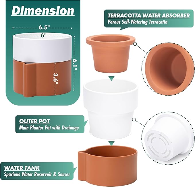 6.5 Inch Self-Watering Planter Pot with Terracotta Insert, Deep Water Reservoir, and Ceramic-Alike BPA-Free Plastic Pot for Plant, Modern Planter for Houseplants, Terracotta/White, 53-B-S-6-CasaMuseHome