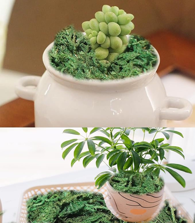 35 OZ Artificial Moss for Fake Plants and Planters - Decorative Faux Moss for Craft and Home Decor-CasaMuseHome