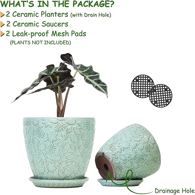 8 Inch + 6 Inch Plant Pots for Indoor Plants, Ceramic Planter with Drainage Hole and Saucers, Garden Pots for Succulent, Orchid, and Flower, Set of 2-CasaMuseHome