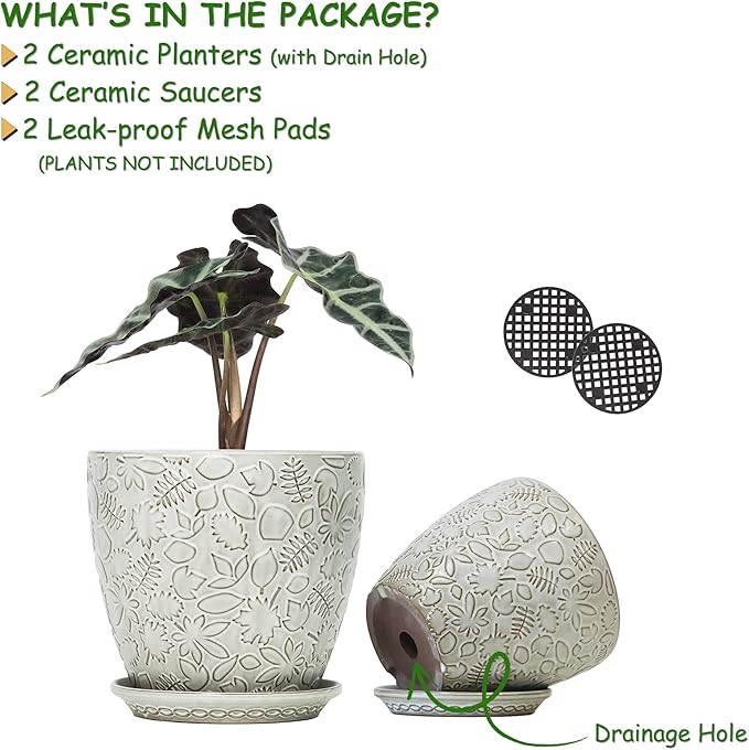 8 Inch + 6 Inch Retro Ceramic Planter Set of 2 with Drainage Hole and Saucer for Multiple Plants, Indoor-Outdoor Garden Pots for Succulent, Orchid, and Flower (Retro White)-CasaMuseHome