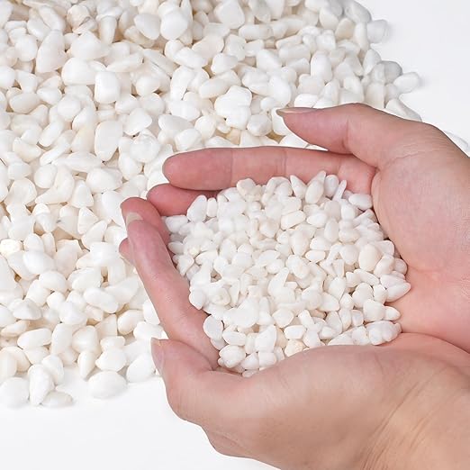 5 lbs White Aquarium Gravel, 1/5 Inch White Rocks for Plants, Small Pebbles for Vases, Succulents, Bamboo, Natural Decorative Pebbles for Plants Drainage, Cactus, Crafts-CasaMuseHome