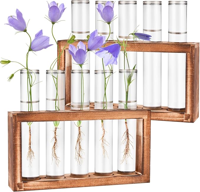 2pcs Desktop Glass Plant Propagation Station with 10 Test Tubes in Wooden Stand - Hydroponic Plants Cutting Office Home Decoration and Garden Decor Terrarium (10 Tubes)-CasaMuseHome