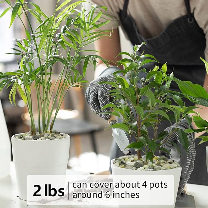 2LB Succulent and Cactus Pebbles, 1/5 Inch Jade Natural Decorative Polished Stones, River Rocks for for Indoor Plants, Vases, Planters and Outdoor Gardening-CasaMuseHome