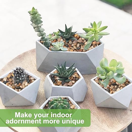 5 lbs Drainage Rocks for Potted Plants, 1/5 Inch Small Pebbles for Indoor Plants, Decorative Gravel for Vases, Bamboo, Succulent, Terrarium, Crafts, Cactus-CasaMuseHome