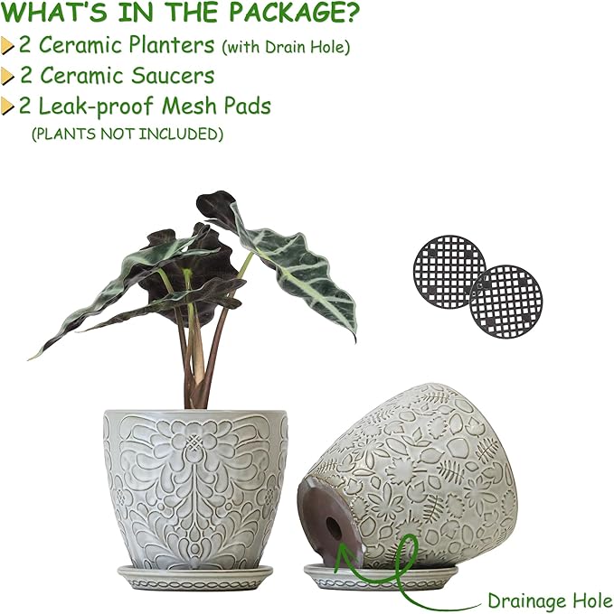 6 Inch Ceramic Planter Pots with Drainage Hole and Saucers for Indoor Plants, Garden Pots for Succulent, Orchid, and Flower - Set of 2-CasaMuseHome