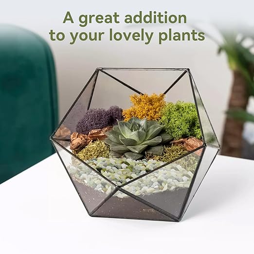 2.5LB Succulent and Cactus Pebbles, 1/5 Inch Jade Pebbles for Indoor Plants, Decorative Gravel for Vases, Bamboo, Succulent, Terrarium, Crafts, Cactus-CasaMuseHome