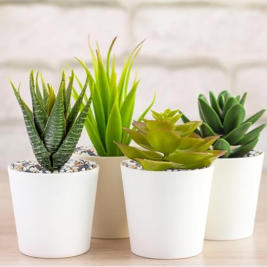 2.5 lbs Small Rocks for Plants, 1/5 Inch Pebbles for Indoor Plants, Natural Decorative Pea Gravel for Aquarium, Fish Tank, Terrarium, Succulents, Bamboo Plants, Vases, Cactus, Crafts-CasaMuseHome