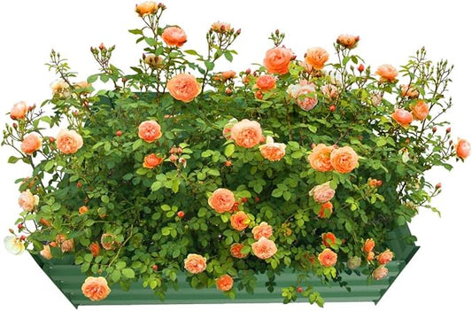 4x4x1ft Metal Raised Garden Bed Kit，Galvanized Garden Bed Box for Vegetables, Flowers, Herbs, and Succulents,120 Gallon Capacity - Green-CasaMuseHome