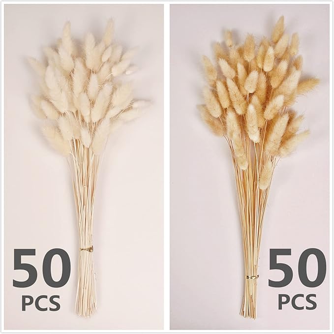 120 PCS Bunny Tails Dried Flowers, Dried Pampas Grass Bouquet, Boho Table Decor, White Pampas Grass Small, Dried Bunny Tails, Pampas Grass for Wedding, Home, Rustic Party, Baby Shower Decorations-CasaMuseHome