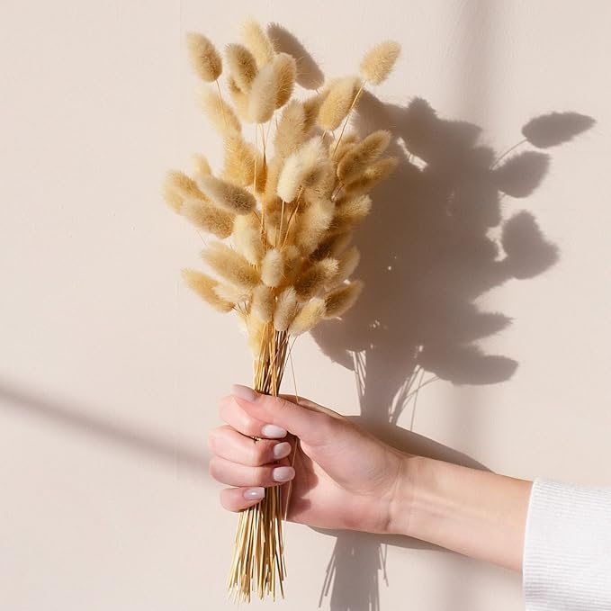 120 PCS Bunny Tails Dried Flowers, Dried Pampas Grass Bouquet, Boho Table Decor, White Pampas Grass Small, Dried Bunny Tails, Pampas Grass for Wedding, Home, Rustic Party, Baby Shower Decorations-CasaMuseHome