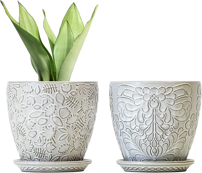 6 Inch Ceramic Planter Pots with Drainage Hole and Saucers for Indoor Plants, Garden Pots for Succulent, Orchid, and Flower - Set of 2-CasaMuseHome