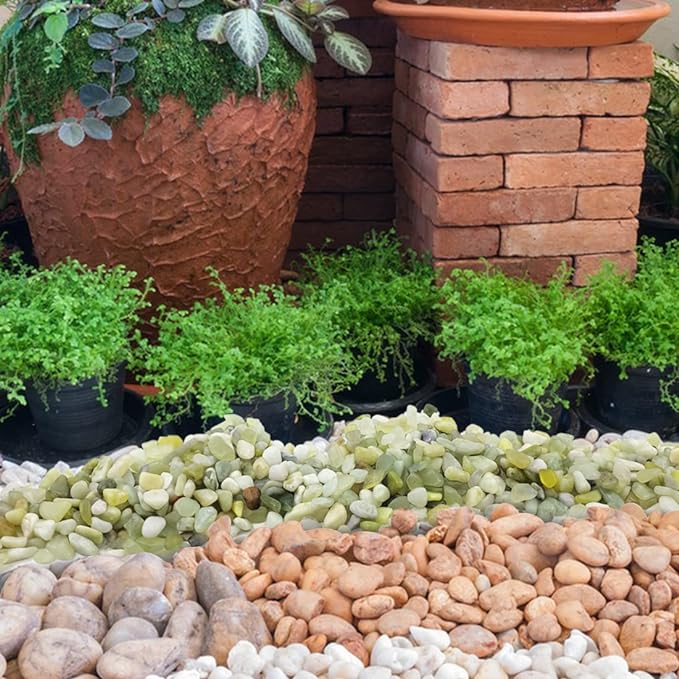 2LB Succulent and Cactus Pebbles, 1/5 Inch Jade Natural Decorative Polished Stones, River Rocks for for Indoor Plants, Vases, Planters and Outdoor Gardening-CasaMuseHome