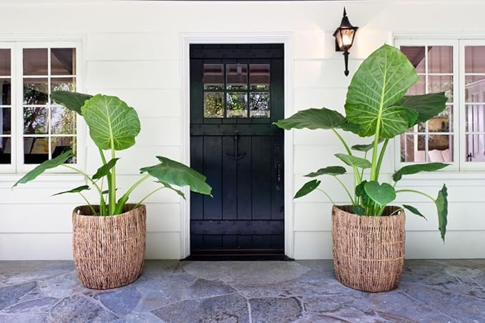 KOUBOO Madras Planter Basket, Plant Container, Tree Planter, Basket Front Door, Decorative Plants Pot, Woven Options for Every Space, Dark Brown, Large