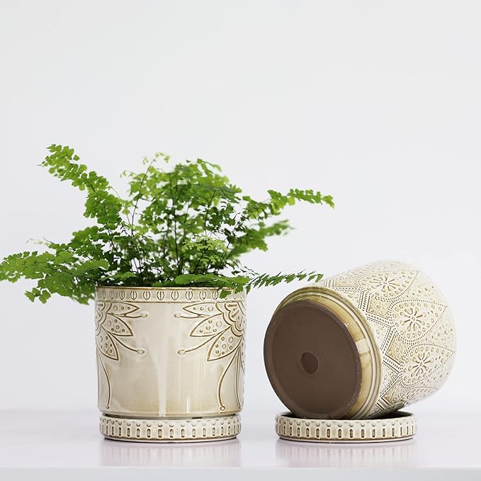 6 Inch Indoor Plant Pots with Drainage Holes and Saucers, Ceramic Planter for Plants, Flower Pot - Set of 2-CasaMuseHome