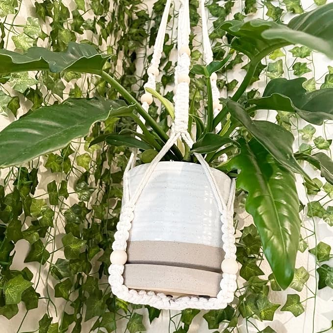 6 Inch Plant Pots, Ceramic Planter Pot with Drainage Hole & Saucer, Indoor/Outdoor Cylinder Round Planter Pot, White & Beige Glaze-CasaMuseHome