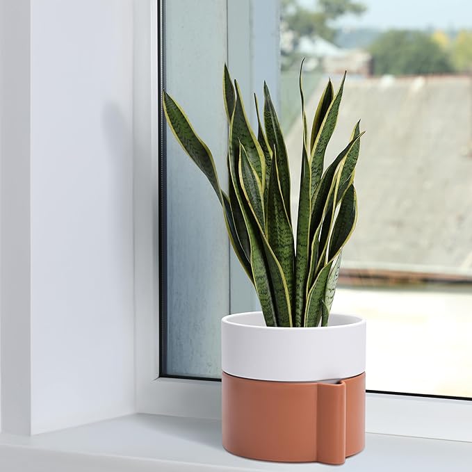 8 Inch Self-Watering Planter Pot with Terracotta Insert, Deep Water Reservoir, and Ceramic-Alike BPA-Free Plastic Planter Pot for Plant, Modern Planter for Houseplants, Terracotta/White, 53-B-T-6-CasaMuseHome