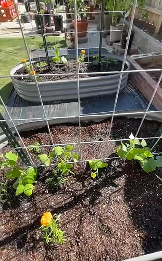 2 Pack 8x4x1FT Galvanized Raised Garden Bed Kit Oval Metal Ground Planter Box Outdoor Bottomless Planter Raised Beds for Vegetables Flowers Herbs Fruits, Gray-CasaMuseHome