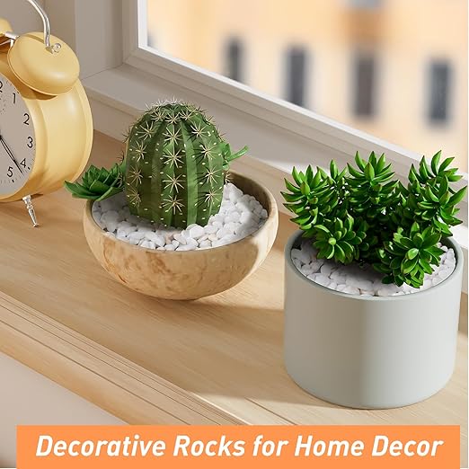 2.5 lbs White Aquarium Gravel, 1/5 Inch White Rocks for Plants, Small Pebbles for Vases, Succulents, Bamboo, Natural Decorative Pebbles for Plants Drainage, Cactus, Crafts-CasaMuseHome