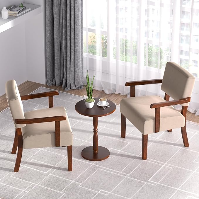 Accent Chair, Cat-Scratch Velvet Living Room Chairs Oversize with Soft Seat and Armrests for Dinning Room Bedroom Reading Room Waiting Room-CasaMuseHome