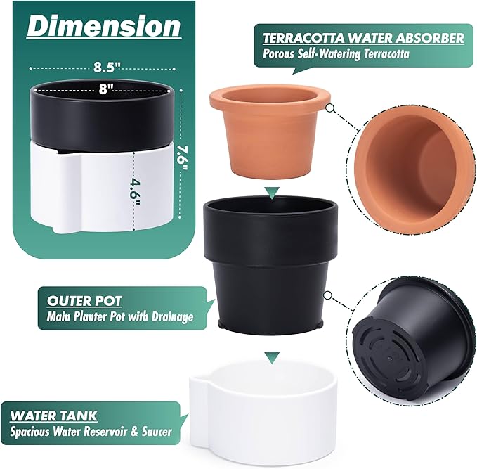 8 Inch Self-Watering Planter Pot with Terracotta Insert, Deep Water Reservoir, and Ceramic-Alike BPA-Free Plastic Planter Pot for Plant, Modern Planter for Houseplants, White/Black, 53-B-T-4-CasaMuseHome