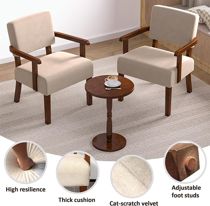 Accent Chair, Cat-Scratch Velvet Living Room Chairs Oversize with Soft Seat and Armrests for Dinning Room Bedroom Reading Room Waiting Room-CasaMuseHome