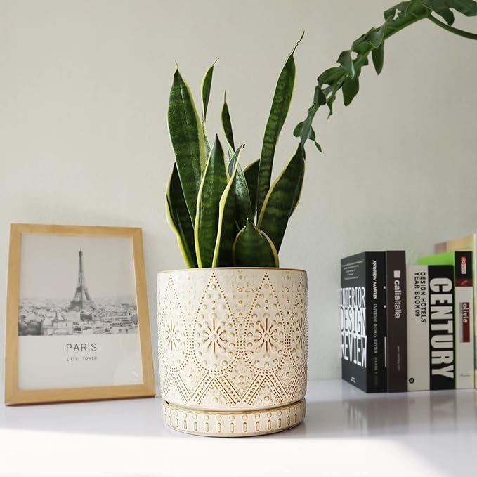 8 Inch Indoor Plant Pot with Drainage Holes and Saucers, Ceramic Planter for Plants, Succulent Orchid Flower Pots-CasaMuseHome