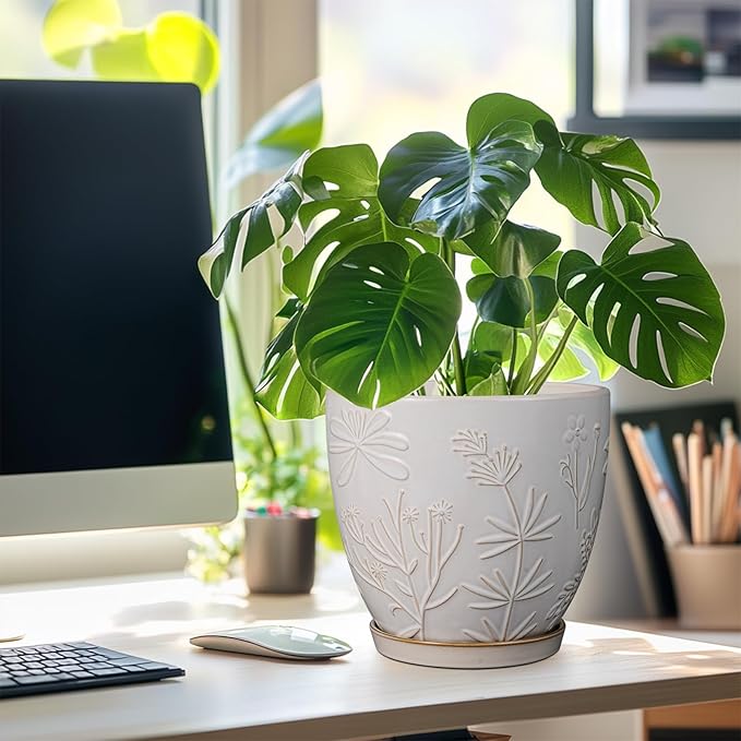 8 Inch Ceramic Pots for Plants Large Planter Pot with Drainage Hole and Saucer Round Flower Pot for Indoor Outdoor Decor, White-CasaMuseHome