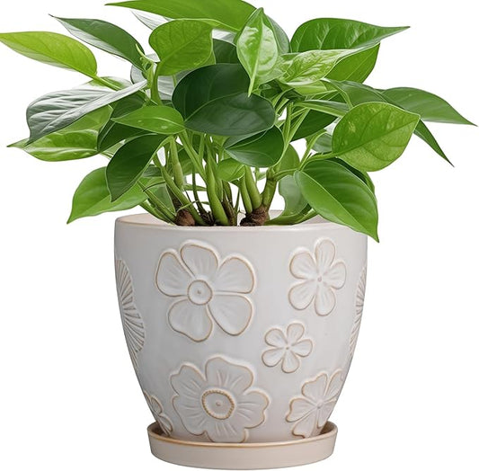 6.9 Inch Plant Pot with Drainage Hole and Saucer Ceramic Planter for Indoor Plant Flower Pot for Orchid Succulents Plants White-CasaMuseHome