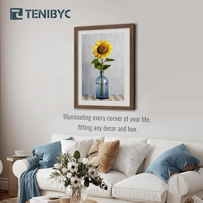 20x30 Poster Frame 3 Pack - Brown Woodgrain, Wood Picture Frame, Wall Gallery Frame - Wall Hanging-CasaMuseHome