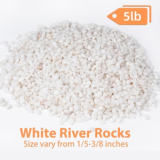 5 lbs White Aquarium Gravel, 1/5 Inch White Rocks for Plants, Small Pebbles for Vases, Succulents, Bamboo, Natural Decorative Pebbles for Plants Drainage, Cactus, Crafts-CasaMuseHome