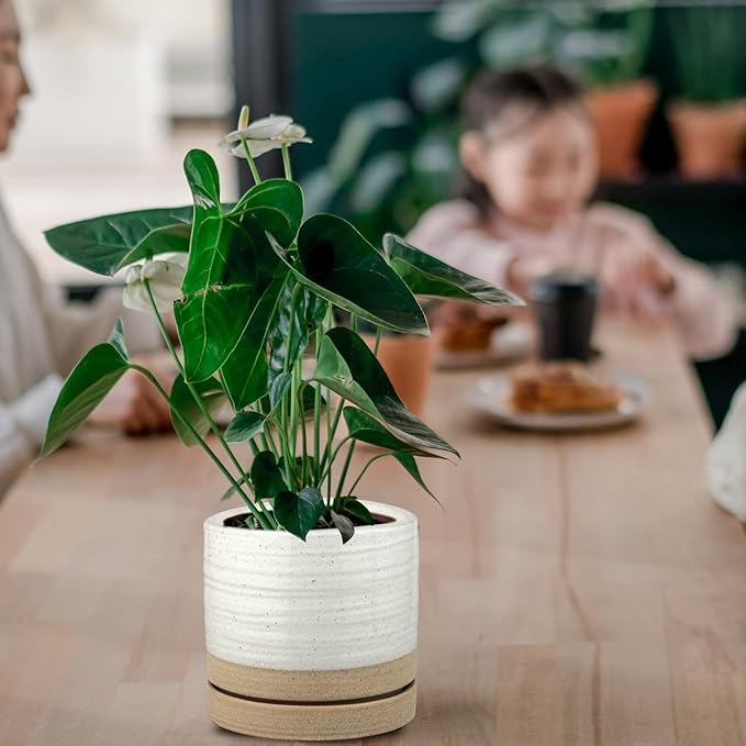 6 Inch Plant Pots, Ceramic Planter Pot with Drainage Hole & Saucer, Indoor/Outdoor Cylinder Round Planter Pot, White & Beige Glaze-CasaMuseHome