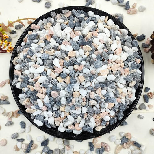 2LB Succulent and Cactus Gravel Pebbles, 1/5 Inch Natural Decorative Polished Stones, River Rocks for Vases, Aquariums, Terrarium and Outdoor Gardening, Mixed Color-CasaMuseHome