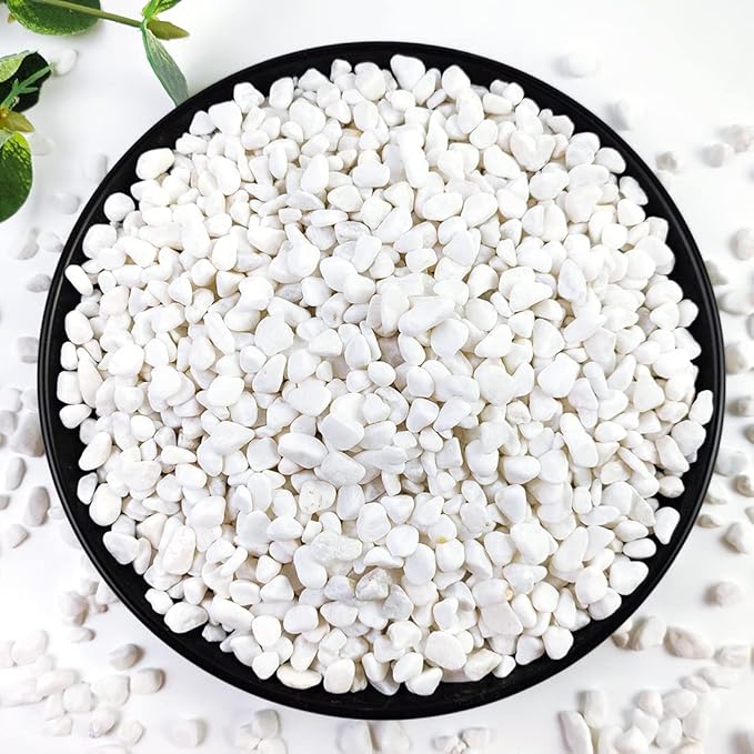 2LB Succulent and Cactus Gravel Pebbles, 1/5 Inch White Natural Decorative Polished Stones, River Rocks for Plants, Vases, Aquariums, Terrarium and Outdoor Gardening,White-CasaMuseHome