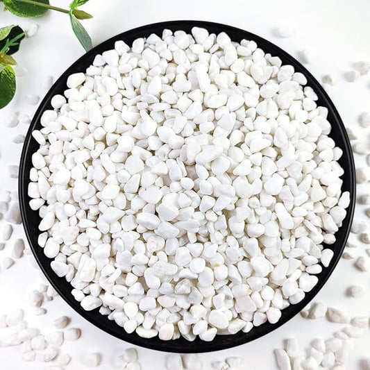 2LB Succulent and Cactus Gravel Pebbles, 1/5 Inch White Natural Decorative Polished Stones, River Rocks for Plants, Vases, Aquariums, Terrarium and Outdoor Gardening,White-CasaMuseHome