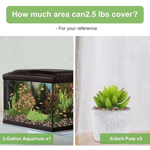 2.5 lbs Drainage Rocks for Potted Plants, 1/5 Inch Small Pebbles for Indoor Plants, Decorative Gravel for Vases, Bamboo, Succulent, Terrarium, Crafts, Cactus-CasaMuseHome