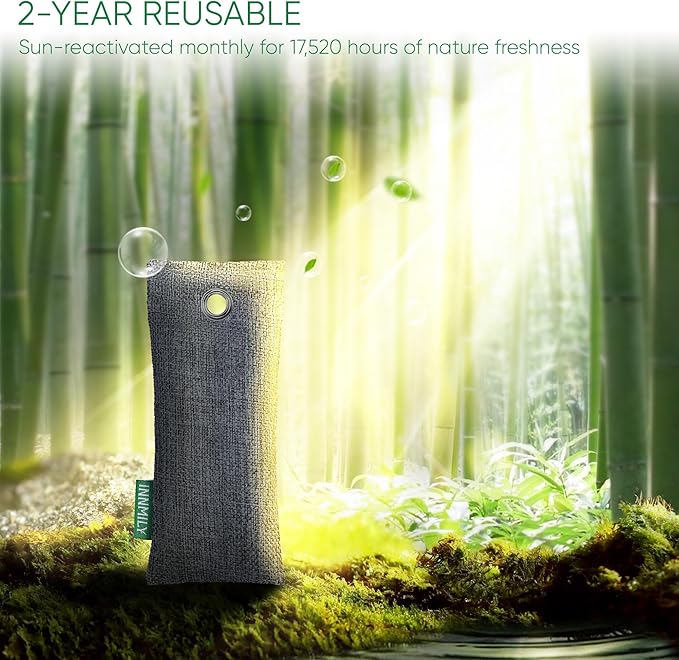 Activated Charcoal Odor Absorber, 6 Pack Natural Shoe Odor Eliminator, Bamboo Charcoal Air Purifying Bags, Sneaker Deodorizer and Moisture Absorbers for Clean Footwear, Shoe Odor Remover-CasaMuseHome