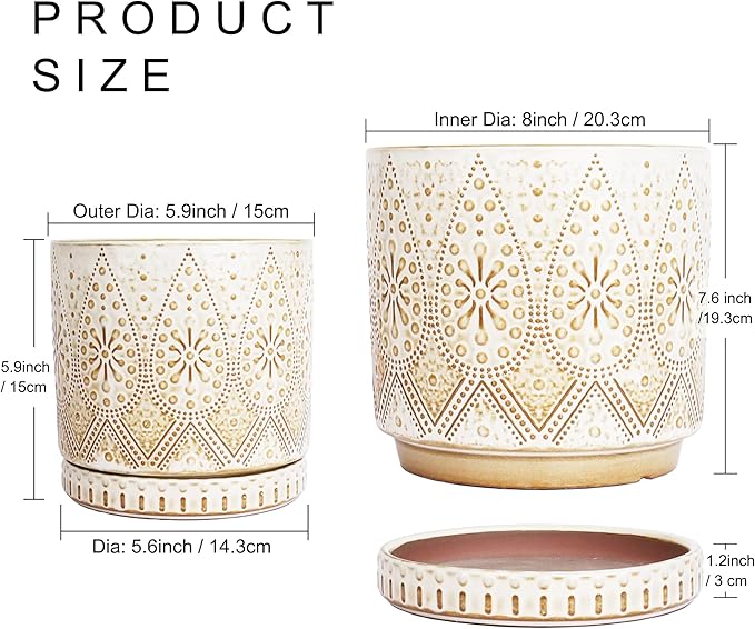 8 Inch + 6 Inch Indoor Plant Pot with Drainage Holes and Saucers, Ceramic Planter for Plants, Succulent Orchid Flower Pots-CasaMuseHome