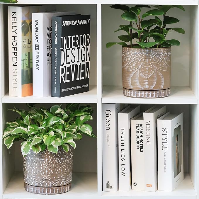 6 Inch Indoor Plant Pots with Drainage Holes and Saucers, Ceramic Planter for Plants, Flower Pot - Set of 2-CasaMuseHome