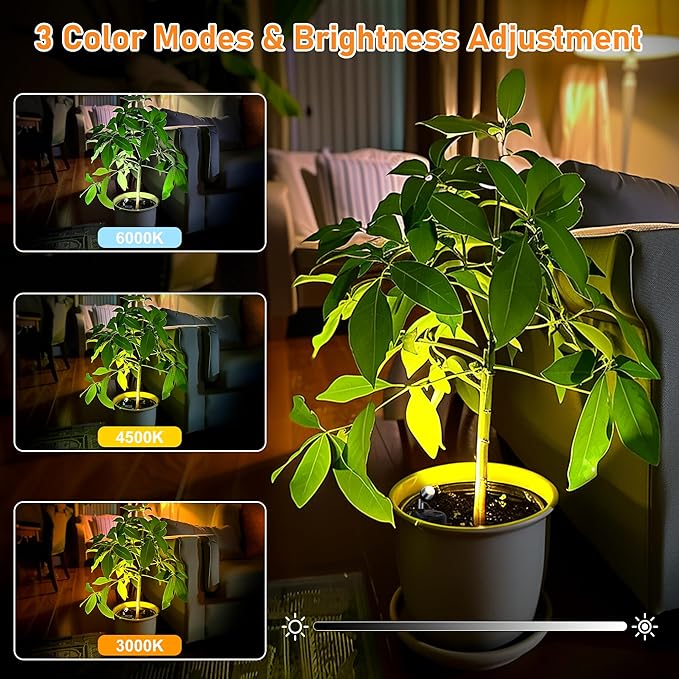 4 Pack Wireless LED Spotlights Indoor, Plant Battery Operated Tree Lights, Uplighting Picture Light with Remote, Accent Lights for Display Artwork Dartboard-CasaMuseHome