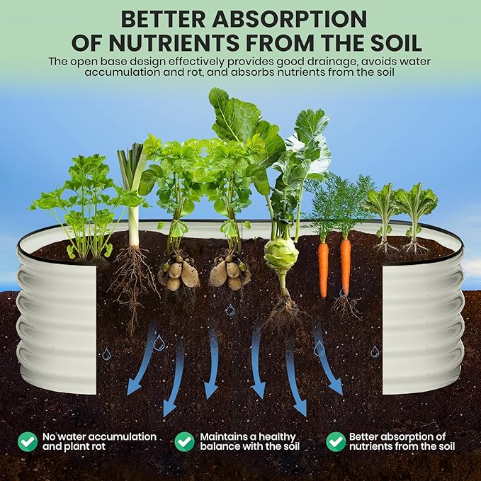 2 Pcs 6x3x1ft Oval Raised Garden Bed, Galvanized Raised Beds,Open-Ended Base Metal Raised Planter Beds,Garden Bed Outdoor,Planter Raised Boxes for Vegetables, Flowers,Tool-Free Asse,White-CasaMuseHome