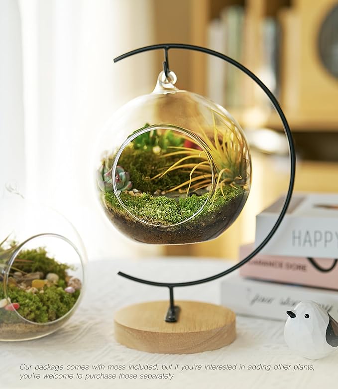 15-Piece Terrarium Kit with Live Moss – DIY Glass Globe Set with Tools, Soil, Stones & Spray Bottle – Indoor Mini Garden Gift for Plant Lovers, Home Decor & Zen Craft-CasaMuseHome